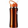 RVS fles Serena blauw