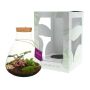 Wardians® Ecosystem - Erlenmeyer large + LED, Zonder verpakking