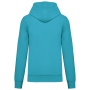 Ecologische herensweater met capuchon Sea Turquoise 5XL Ecologische herensweater met capuchon Sea Turquoise 5XL