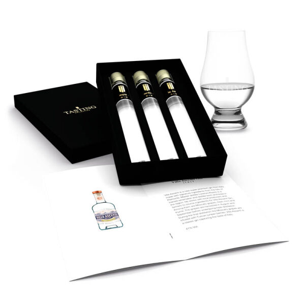 Gin Tasting Gin Tasting