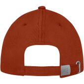 Davis 6 panel cap - Brick