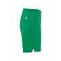 Evolve 2.0 Shorts M Team Green XS