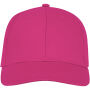 Ares 6 panel cap - Magenta Ares 6 panel cap - Magenta
