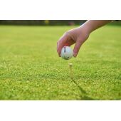 Houten golftees-set Nyssa bruin