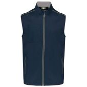 navy/silver