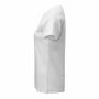 Harvest Scarsdale T-shirt Woman White XS