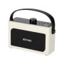 BRAINZ Retro Clock Speaker Wit