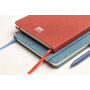 Gracilis - RPET-notebook