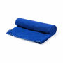 Absorberende Handdoek Risel - AZUL - S/T