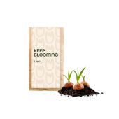 12 Zomerbloeiers (plantseizoen maart-juni)