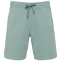 Ecologische herenshort French Terry Washed Jade Green 4XL