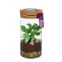Wardians® Ecosystem - Cylinder small + Solar LED, Zonder verpakking
