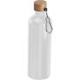 Drinkfles van rvs met karabijnhaak, 750 ml
