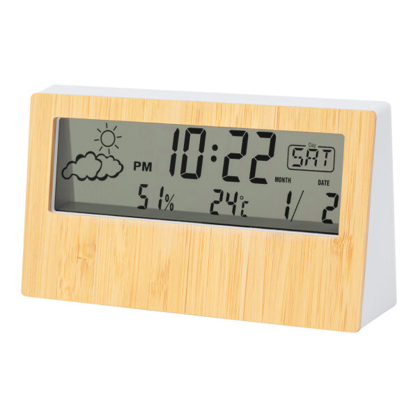 Zepra - bamboe weerstation
