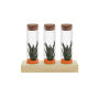 Tiny Treasurez® - Trio tube & wood, Oranje