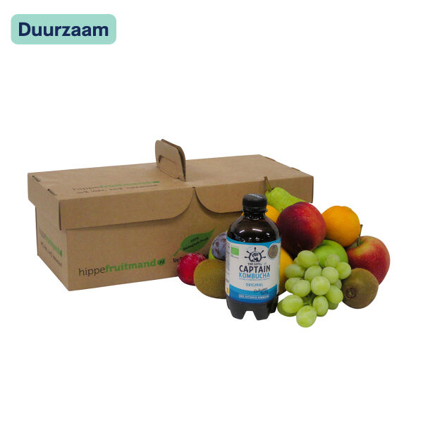 Biologisch Fruit - Kombucha Original