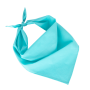Fiesta - Bandana Calypso Blue One Size