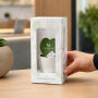Message Printz® - Hartjesplant, In giftbox Message Printz® - Hartjesplant, In giftbox