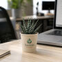 Tiny Greenz in papercup, Zonder verpakking, Green mix
