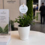 Tiny Greenz with plantlabel, Zonder verpakking, Green mix Tiny Greenz with plantlabel, Zonder verpakking, Green mix