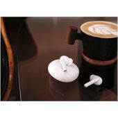 Boompods Echowave True Wireless-oordopjes - Wit Boompods Echowave True Wireless-oordopjes - Wit