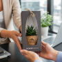 Kokodama® medium - Easy care mix, Zonder verpakking