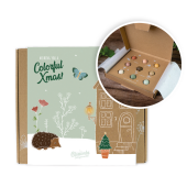 Blossombs - Giftbox 9 stuks Xmas - X-mas Garden