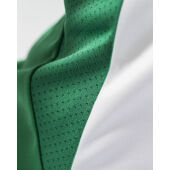 *Progress stripe jersey wmn green/white s