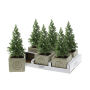 Congreet® plantpots small - Christmas edition