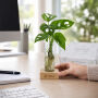 Hydroponic plants - Single tube & wood