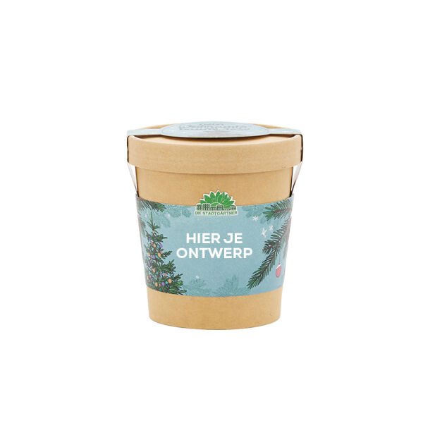 Kerst Minituintje In Een Cup