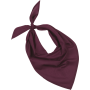 Fiesta - Bandana Wine One Size
