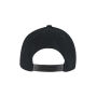 Flexfit 110 Curved Snapback - Black - One Size