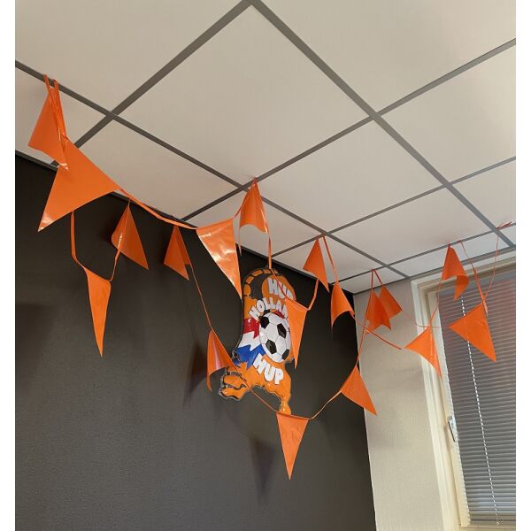 Oranje Puntvlaggenlijn 10 meter - 18 Vlaggen voor Buiten & Binnen