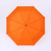 ACTIVE SET: THERMISCHE WATERFLES EN AUTOMATISCHE PARAPLU