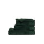 T1-Wash Washcloth - Dark Green