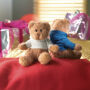 JOHNNY - Teddybeer met sweatshirt - Wit