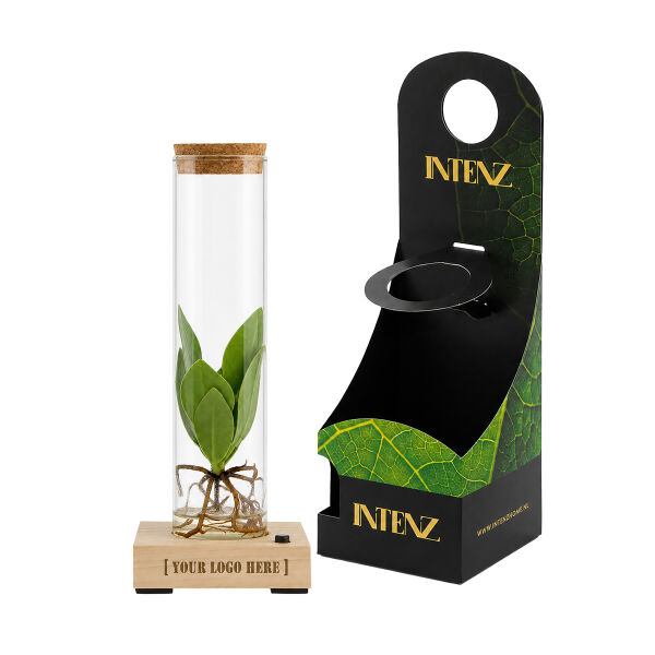 Hydroponic plants - Light bottle in giftbox Hydroponic plants - Light bottle in giftbox