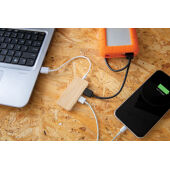 Bamboe hub met type C, bruin