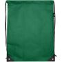 Evergreen GRS gerecyclede non woven koordzak 5 l - Groen