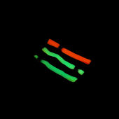 Armband Clasmy - AZU_F - S/T