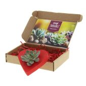 Tiny Treasurez® - Lovely heart in brievenbusdoosje