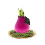 No Water Flowers® - Waxz® on golden dish, In cellofaan, Roze