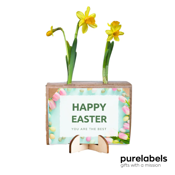 Paasgeschenk personeel | Narcisbolletjes in box | Met wenskaart
