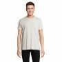 REGENT V - REGENT V  V-NECK T-SHIRT - XS - Gebroken Wit