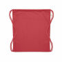 CABETRI COLOUR - Trekkoord rugzak gerecycled - Rood