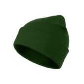 bottle green