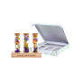 Dried Flowers - Trio tube & wood, Multicolor Dried Flowers - Trio tube & wood, Multicolor
