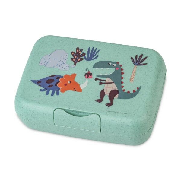 Koziol Lunchbox met verdeler CANDY L REX Koziol Lunchbox met verdeler CANDY L REX