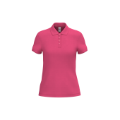 Ideal Fuchsia
